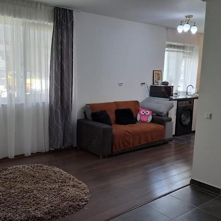 Cozy Nest Appartement Sinnicoara Buitenkant foto