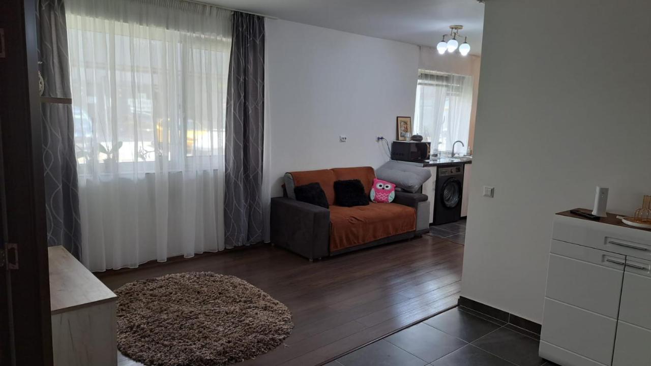 Cozy Nest Appartement Sinnicoara Buitenkant foto