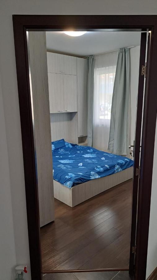 Cozy Nest Appartement Sinnicoara Buitenkant foto